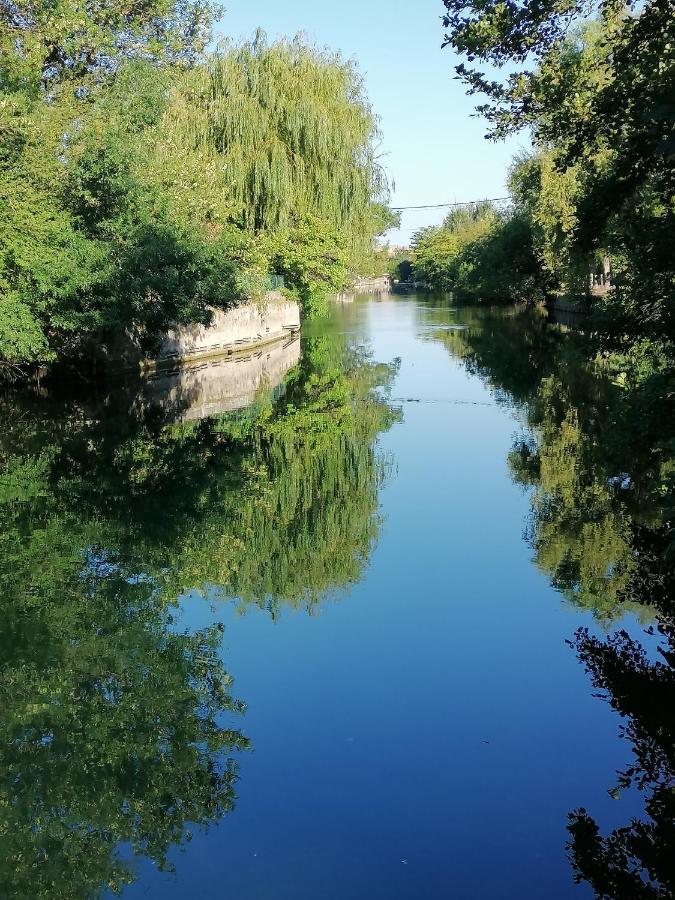 Gite Les Demoiselles Des Sorgues LʼIsle-sur-la-Sorgue Dış mekan fotoğraf