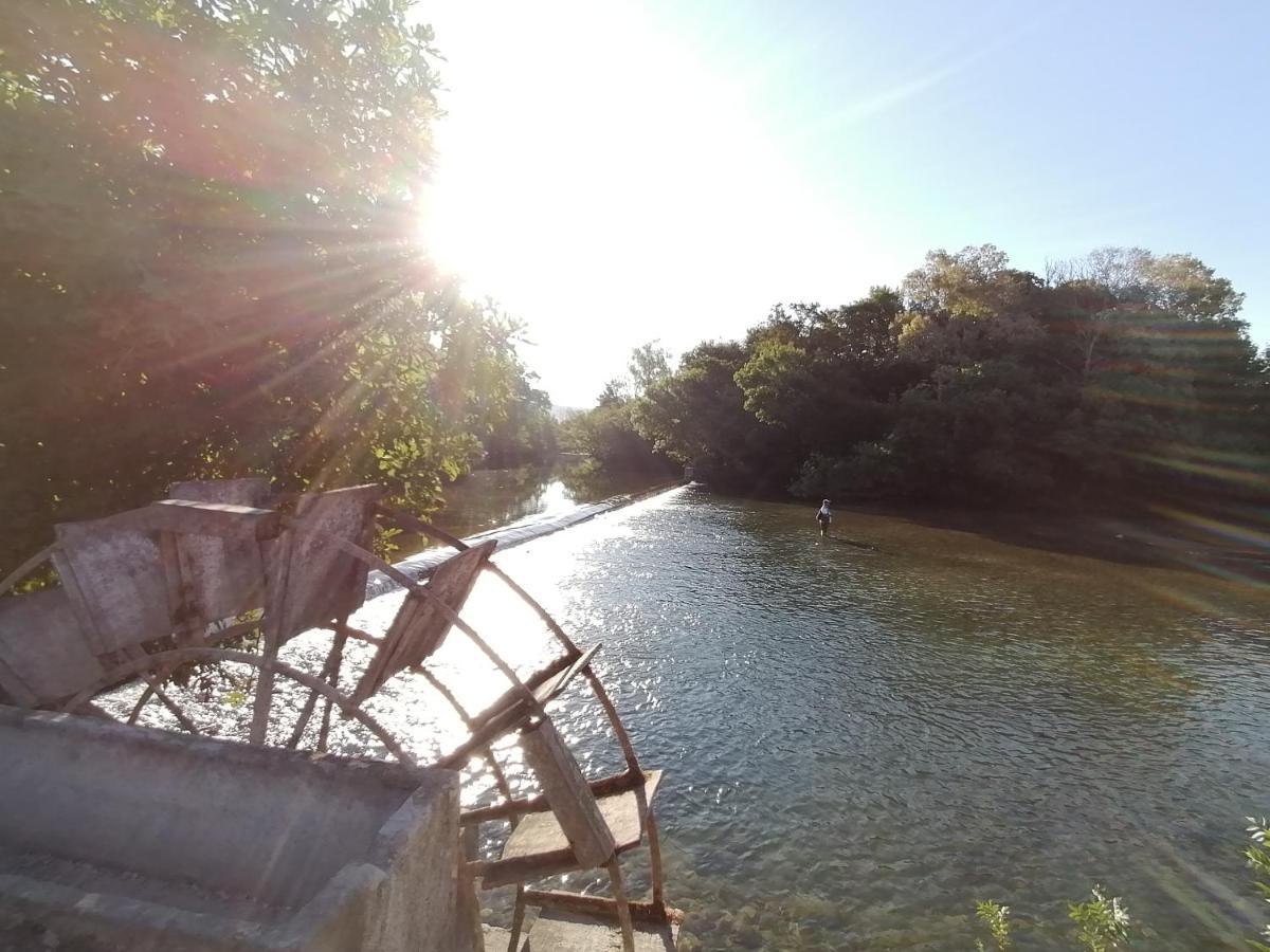 Gite Les Demoiselles Des Sorgues LʼIsle-sur-la-Sorgue Dış mekan fotoğraf